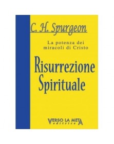 LA POTENZA DEI MIRACOLI DI CRISTO - RISURREZIONE SPIRITUALE