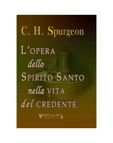 L'OPERA DELLO SPIRITO SANTO NELLA VITA DEL CREDENTE